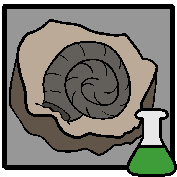 A spiraling shell embedded in a rock in a frame with a green beaker in the corner.